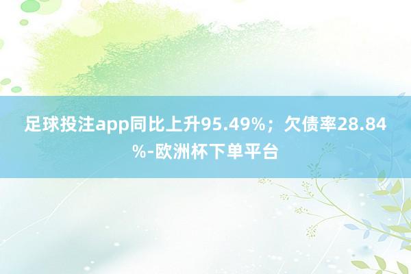 足球投注app同比上升95.49%；欠债率28.84%-欧洲杯下单平台