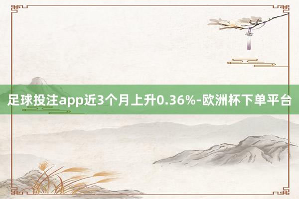 足球投注app近3个月上升0.36%-欧洲杯下单平台