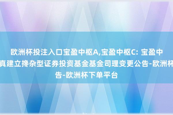 欧洲杯投注入口宝盈中枢A,宝盈中枢C: 宝盈中枢上风纯真建立搀杂型证券投资基金基金司理变更公告-欧洲杯下单平台