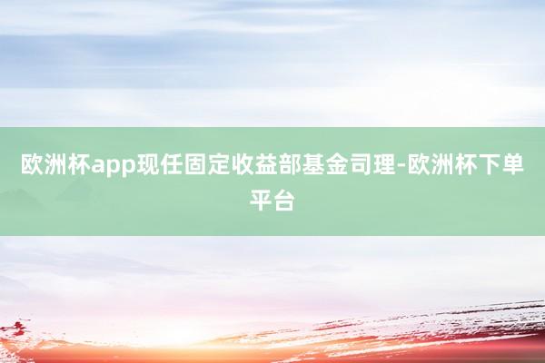 欧洲杯app现任固定收益部基金司理-欧洲杯下单平台