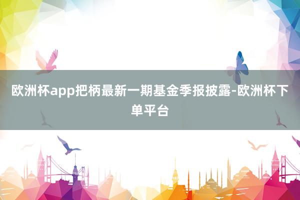 欧洲杯app把柄最新一期基金季报披露-欧洲杯下单平台