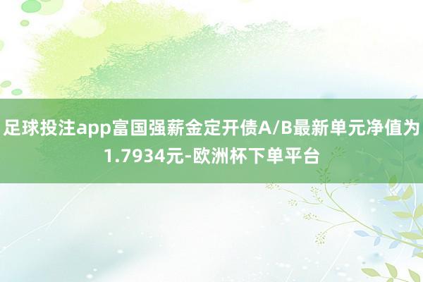 足球投注app富国强薪金定开债A/B最新单元净值为1.7934元-欧洲杯下单平台