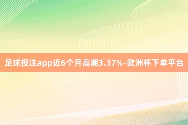 足球投注app近6个月高潮3.37%-欧洲杯下单平台