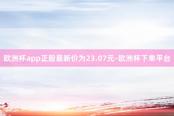 欧洲杯app正股最新价为23.07元-欧洲杯下单平台