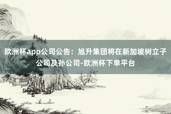 欧洲杯app公司公告：旭升集团将在新加坡树立子公司及孙公司-欧洲杯下单平台